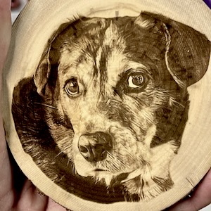 Custom Pet magnets engraved on reclaimed Colorado Aspen