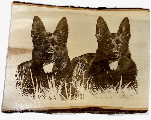 MooseTrack Boutique personalized Pet ornaments on reclaimed Colorado Aspen